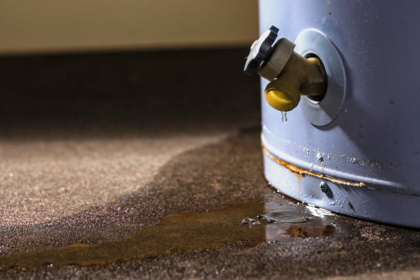 Best 24-hour water damage restoration  in Shrewsbury, NJ