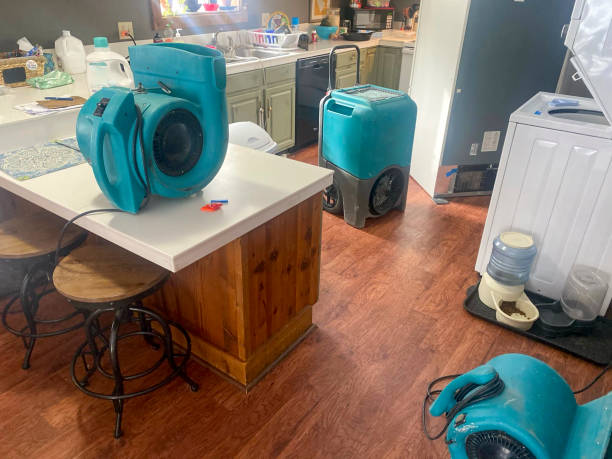 Best Water damage restoration experts  in Shrewsbury, NJ