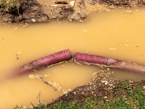 Best Water damage contractors near me  in Shrewsbury, NJ